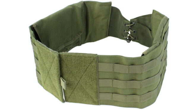 Plate carrier belly band